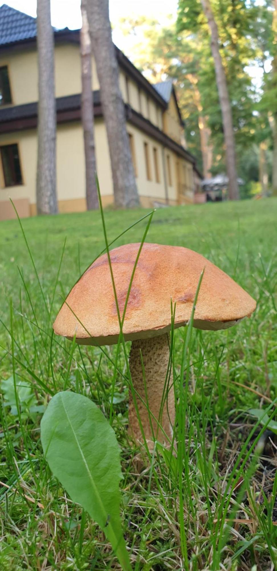 Villa Toskana Погожелица Екстериор снимка